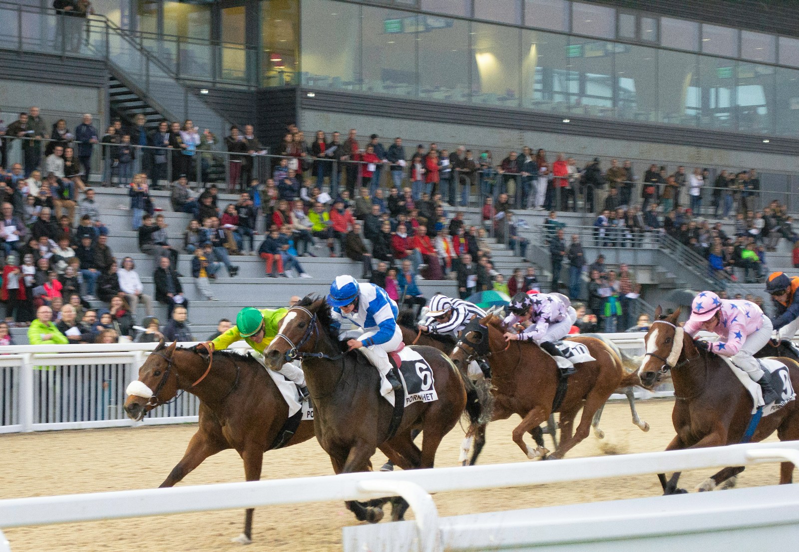 Go to the Races
