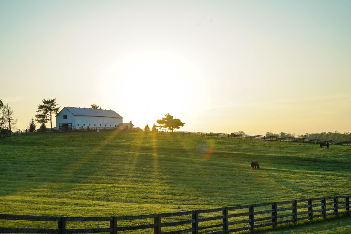 The Guide to Kentucky